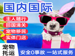 龙嘉航空物流国际宠物托运 【国